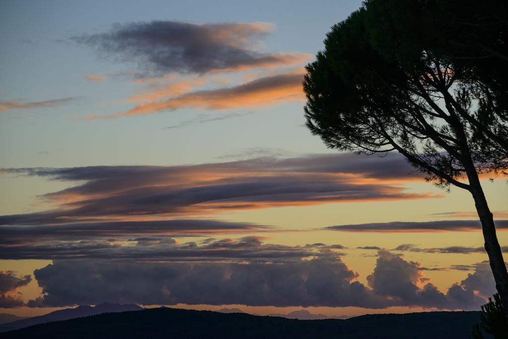 Pian Dei Mucini Resort Il Borgo 马萨马里蒂马 外观 照片
